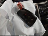 Miniaturka zdjęcia 11