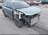 Miniaturka zdjęcia 6