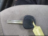 Miniaturka zdjęcia 11