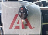 Miniaturka zdjęcia 11