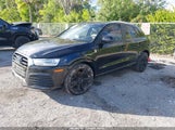 Miniaturka zdjęcia 2
