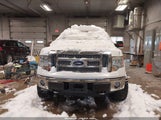 Ford F-150 Fx4/Harley-Davidson/King Ranch/Lariat/Platinum/Xl/Xlt 1FTFW1EV8AFC31990 photo