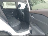 Miniaturka zdjęcia 8