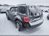 Ford Escape Xlt 1FMCU9D76AKC43245 снимка
