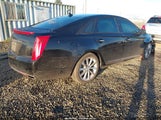 Miniaturka zdjęcia 4