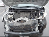 Toyota Corolla S 1NXBU40E09Z081969 снимка