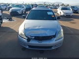 Miniaturka zdjęcia 6
