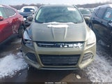 Ford Escape Se 1FMCU9G95EUA39950 снимка
