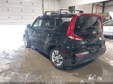 Miniaturka zdjęcia 3