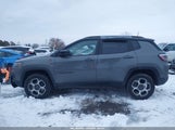 Jeep Compass Trailhawk 4X4 3C4NJDDB9NT203694 снимка