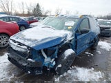 Subaru Crosstrek Wilderness 4S4GUHU6XR3794982 снимка