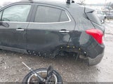 Miniaturka zdjęcia 6