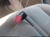 Miniaturka zdjęcia 11