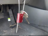 Miniaturka zdjęcia 11