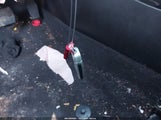 Miniaturka zdjęcia 11