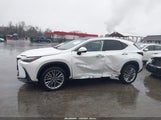 Lexus Nx 350H Luxury JTJHKCEZ2P2013818 fotografie