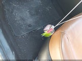 Miniaturka zdjęcia 11