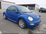 Volkswagen New Beetle Glx 3VWDD21C61M445462 снимка