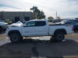 Toyota Tacoma Trd Off Road 3TYDZ5BN5PT021855 photo