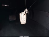 Miniaturka zdjęcia 11