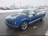 Ford Mustang V6 1ZVFT80NX65149066 снимка