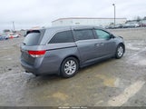 Honda Odyssey Ex-L 5FNRL5H66EB081986 снимка