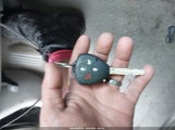 Miniaturka zdjęcia 11