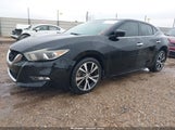 Nissan Maxima 3.5 Platinum/3.5 S/3.5 Sl/3.5 Sr/3.5 Sv 1N4AA6AP6GC390570 photo