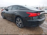 Nissan Maxima 3.5 Platinum/3.5 S/3.5 Sl/3.5 Sr/3.5 Sv 1N4AA6AP6GC390570 fotografie