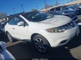 Nissan Murano Crosscabriolet JN8AZ1FY8EW301007 снимка