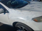 Nissan Murano Crosscabriolet JN8AZ1FY8EW301007 photo