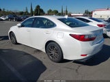 Miniaturka zdjęcia 3