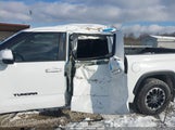 Toyota Tundra Sr 4X4 5TFLA5DB3RX208381 fotografie