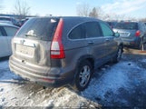 Honda Cr-V Ex 5J6RE3H57AL029354 photo