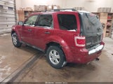 Ford Escape Xlt 1FMCU03Z28KB05159 снимка