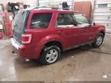 Ford Escape Xlt 1FMCU03Z28KB05159 снимка