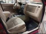 Ford Escape Xlt 1FMCU03Z28KB05159 снимка