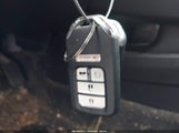 Miniaturka zdjęcia 11