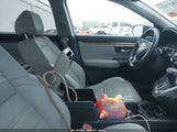 Miniaturka zdjęcia 5