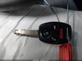 Miniaturka zdjęcia 11
