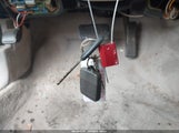 Miniaturka zdjęcia 11