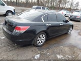 Honda Accord 3.5 Ex-L 5KBCP3F85AB007943 снимка