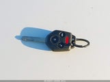 Miniaturka zdjęcia 11