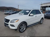 Mercedes-Benz Ml 350 4Matic 4JGDA5HB1FA606245 fotografie