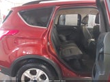 Miniaturka zdjęcia 8