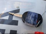 Miniaturka zdjęcia 11