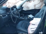 Miniaturka zdjęcia 5