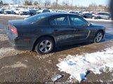 Miniaturka zdjęcia 4