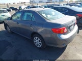 Toyota Corolla Le 1NXBU40E19Z160275 снимка