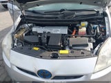 Miniaturka zdjęcia 10